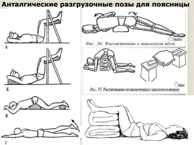 3 незаменимых упражнения для грудного отдела позвоночника | Блог Доктора  Шишонина | Дзен