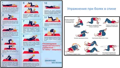 Пилатес при сколиозе - общие сведения, рекомендации, упражнения