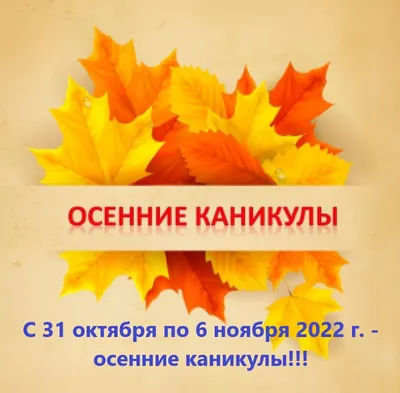 Проект «УРА! КАНИКУЛЫ в Литмузее!» | 25.10.2023 | Курск - БезФормата