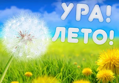 Ура лето картинки