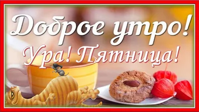 Ура! Пятница! / Прикол на темы: ура пятница, мемы кот | Мемы, Кот, Смешно