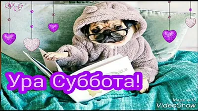 УРА СУББОТА 🥰 День, который полон приключений и легкого безумия 😏 Самое  время позвонить друзьям и наполнить этот вечер яркими эмоциями и… |  Instagram