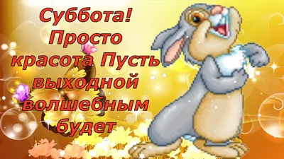 Суббота, заказы и ...Ура!Я добралась до цифры,,100,, ,спасибо вам🤗... |  Лариса Васильева@,,Lissa,, , истории из жизни ИПэшника . | Дзен