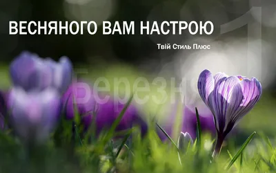 Фотография Ура! Весна пришла! - «Весна-красна!» (№108307)