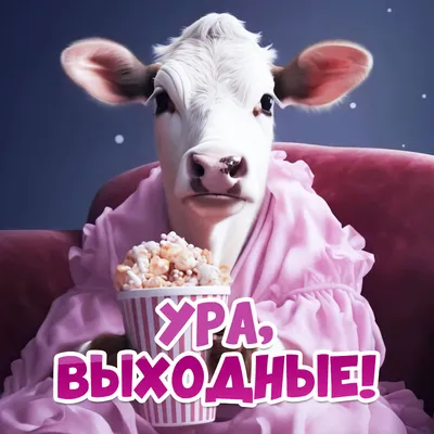 Ура! Выходные! #отдыхайзажигай | TikTok