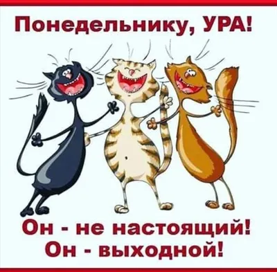 УРА, ВЫХОДНЫЕ!🎉 Друзья, надеемся, что ваша рабочая неделя завершилась  удачно и предлагаем отдохнуть в «Новой Слободе»! У нас всегда… | Instagram