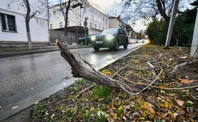 В Крыму на фоне урагана понедельник объявили выходным днем — РБК