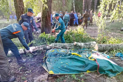 В Анталии жизнь остановилась: на курорт обрушился ураган, поваливший дерево  на туристов | Туристические новости от Турпрома