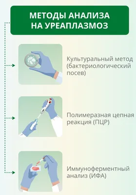 Анализы на уреаплазму у женщин и мужчин: нормы, расшифровка результатов,  как подготовиться и где сдать анализ на уреаплазму?