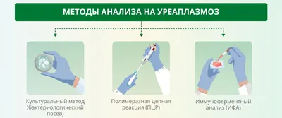 Анализы на уреаплазму у женщин и мужчин: нормы, расшифровка результатов,  как подготовиться и где сдать анализ на уреаплазму?