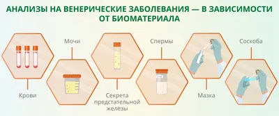 Уреаплазмоз у женщин и мужчин - Анализ на ureaplasma parvum в лаборатории  Lab4U - статьи Lab4u.RU