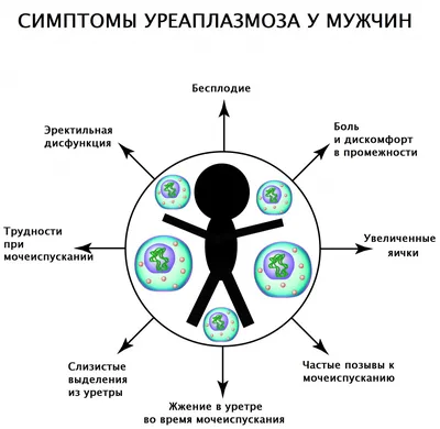 Уреаплазмоз. Уреаплазма (уреалитикум, парвум, специес) - причины появления,  симптомы заболевания, диагностика и способы лечения