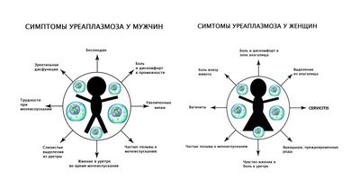 Частота встречаемости Ureaplasma и gardnerella vaginalis в урогенитальном  тракте женщин и мужчин – тема научной статьи по клинической медицине  читайте бесплатно текст научно-исследовательской работы в электронной  библиотеке КиберЛенинка