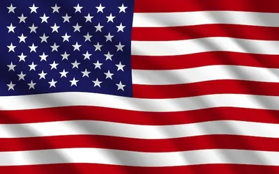 File:Flag of the United States.svg - Wikipedia