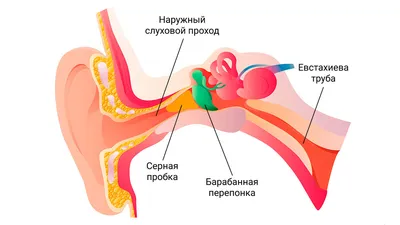 Серная пробка в ухе: удаление, промывание, симптомы, признаки