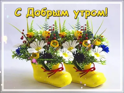 Добрейшего утра! Успешного дня 🤗😊😜🌞🌞🌞🌈 #доброеутро #настроение  #позитив #gudmorning #мантра #аффирмации #юмор #кофе #завтрак | Instagram