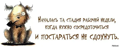 В Новокузнецке женщина угнала внедорожник, потому что устала нести чемодан  В Новокузнецке полицейс / Новокузнецк :: новости :: авто :: угон :: чемодан  / смешные картинки и другие приколы: комиксы, гиф анимация, видео, лучший  интеллектуальный юмор.