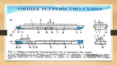 Устройство судна - презентация онлайн