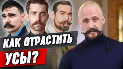 Какие бывают виды усов - Dorco.ru