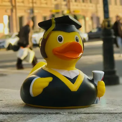 Коллекционная игрушка Funny Ducks резиновая утка (L1304) - купить в Киеве  по выгодной цене от 220 грн., продажа в интернет магазине канцтоваров VV.ua