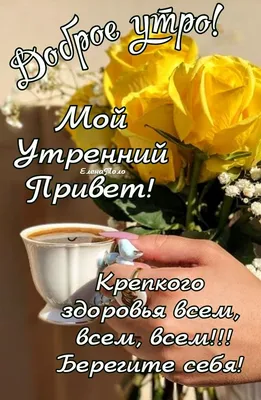 Мой Утренний Привет! Доброго утра! ☕🌹🌹🌹 | Доброе утро, Фотографии для  мотивации, Открытки