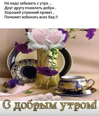 Оксана | Мой утренний привет! 💐💐💐 | Дзен