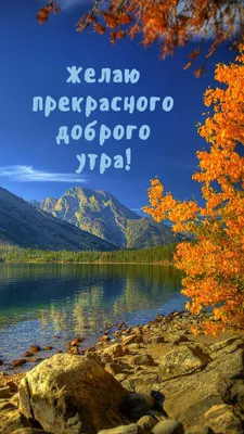 С добрым утром, с замечательным началом дня! Пусть утро будет добрым,  солнечным, ясным и самым чудесным - Лента новостей Мелитополя