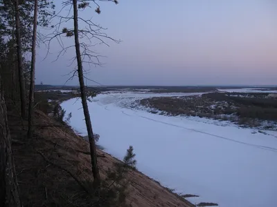 Чалбанова Маргарита Алексеевна