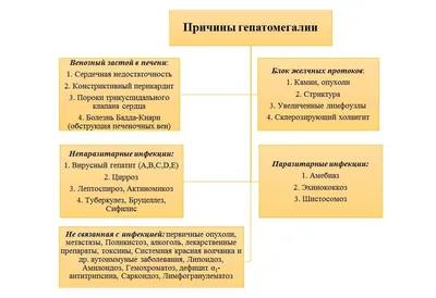 Печеночная колика - причины появления, симптомы заболевания, диагностика и  способы лечения