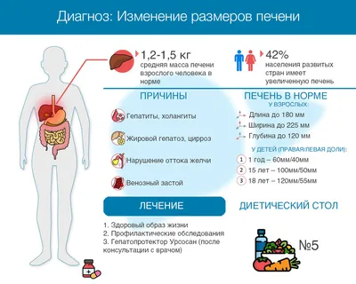 Почему болит печень и что с этим делать - Лайфхакер