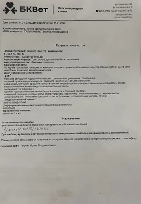 Врач рассказал, о каких опасностях сигнализируют увеличенная грудь у мужчин  | Курьер.Среда | Дзен