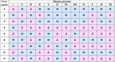 Как определить пол будущего ребенка