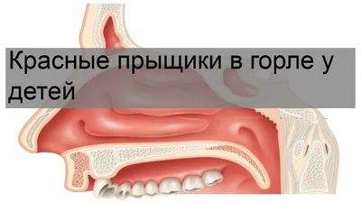 Медицина © Ясли-сад 499