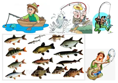 Идеи на тему «Рыбак» (55) | рыбалка, рыбацкий торт, рыбные иллюстрации