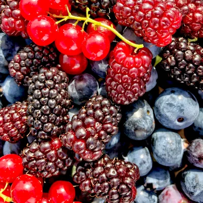 Russia's Wildberries plans to almost double turnover in 2022 - Interfax |  Reuters