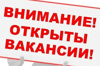 Внимание! Вакансия! | ТАНАИС | региональная общественная организация