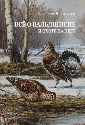 В Рдейском заповеднике обнаружили рекордную кладку яиц вальдшнепа |  20.05.2022 | Великий Новгород - БезФормата