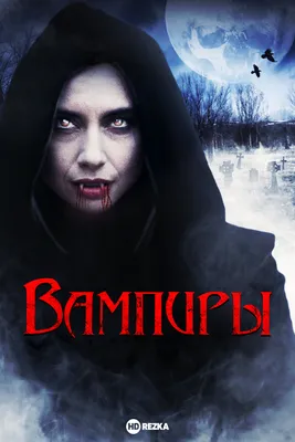 Ширма ведущего для игры «Вампиры: Тёмные века. Классические правила» —  Студия 101 — настольные ролевые игры