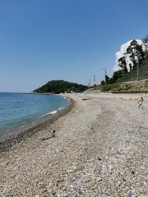 Возле Сочи есть маленький посёлок Вардане, это лучшее место для отдыха. |  Лыжи на Юга | Дзен