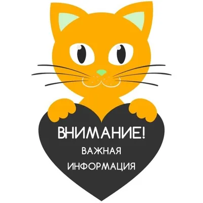 ВНИМАНИЕ! ВАЖНАЯ ИНФОРМАЦИЯ!