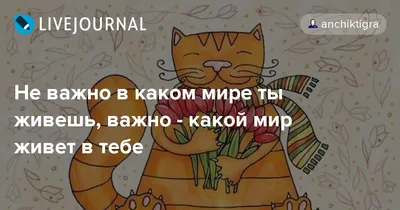 50 вариантов сказать СПАСИБО нетривиально. Важно уметь выразить слова  благодарности людям за все хорошее, что они сделали | ФОТО ЖИЗНИ ДВОИХ |  Дзен