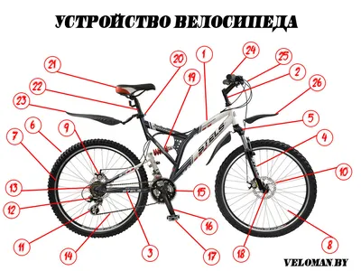 Чем полезен велосипед? Веские причины для покупки, плюсы и влияние на  организм - Чемпионат