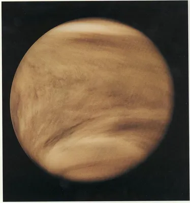 Планета красоты - Венера | Астрология с нуля | Дзен