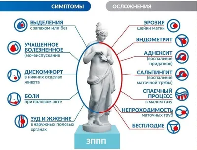 Болезни от \"Венеры\" или чем можно заразиться женщине! Особенности венерических  заболеваний и влияние на отношения | Толстушка, худышка, красавица | Дзен