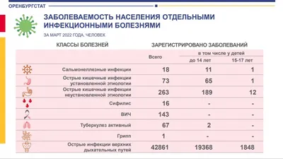 Зудин Кожные и венерические заболевания 1990 — купить в Санкт-Петербурге.  Состояние: Б/у. Традиционная медицина на интернет-аукционе Au.ru