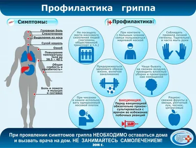 Профилактика заболеваний