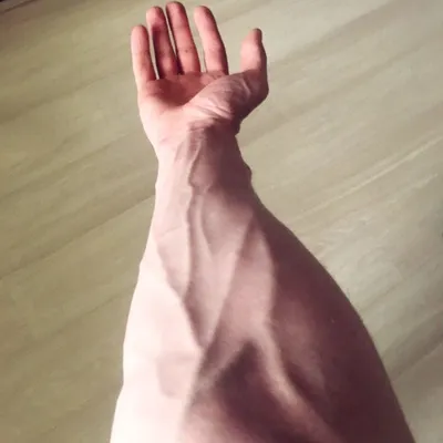 veins on the hand, aesthetics, вены на руке, эстетика | Эстетика,  Фотография рук, Фотографии отношений