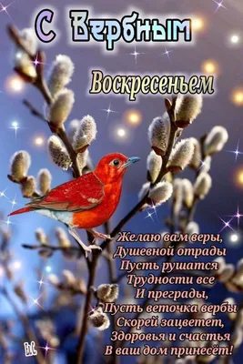 Вербное воскресенье: Как провести праздник, что надо делать с вербой, а что  делать нельзя - Российская газета