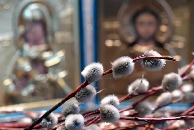 Скачать пожелания! Открытка Вербное Воскресенье, православный праздник  вербное!