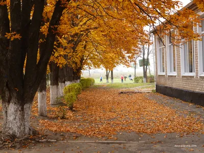 Людмила - Осень - романтичная пора года. Столько ярких красок. Осень -  яркая, сочная, веселая, зажигательная! Так давайте зажигать вместе!))  Приглашаю порисовать 🖌️🎨😉 #арт #психология #екб #семейнаяпсихология  #шаманлюдмила | Facebook